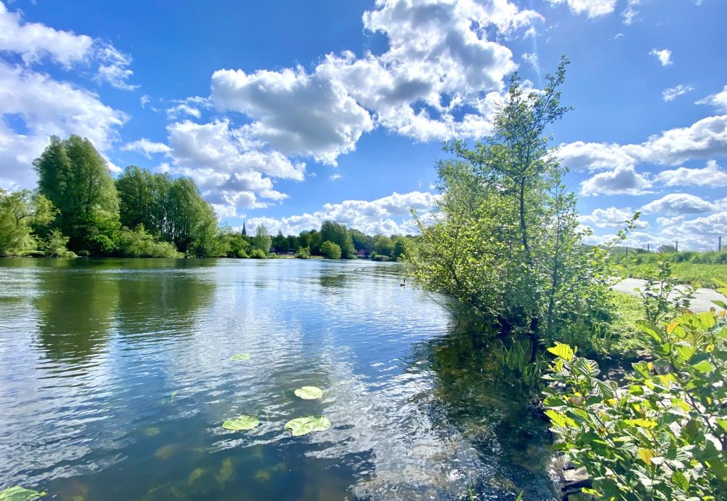 Nur wenige Minuten entfernt: Der Frühling ist da! Erholung pur an der Ruhr Immobilienangebot - Bochum - Alle - Ihre Chance auf nachhaltige Wertsteigerung
in Dahlhausen