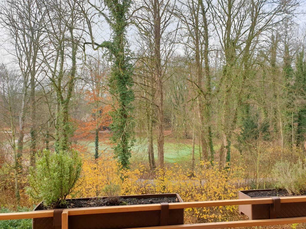 Immobilienangebot - Gelsenkirchen - Alle - Sonnige 3,5 Zimmer Balkonwohnung 
in Ückendorf