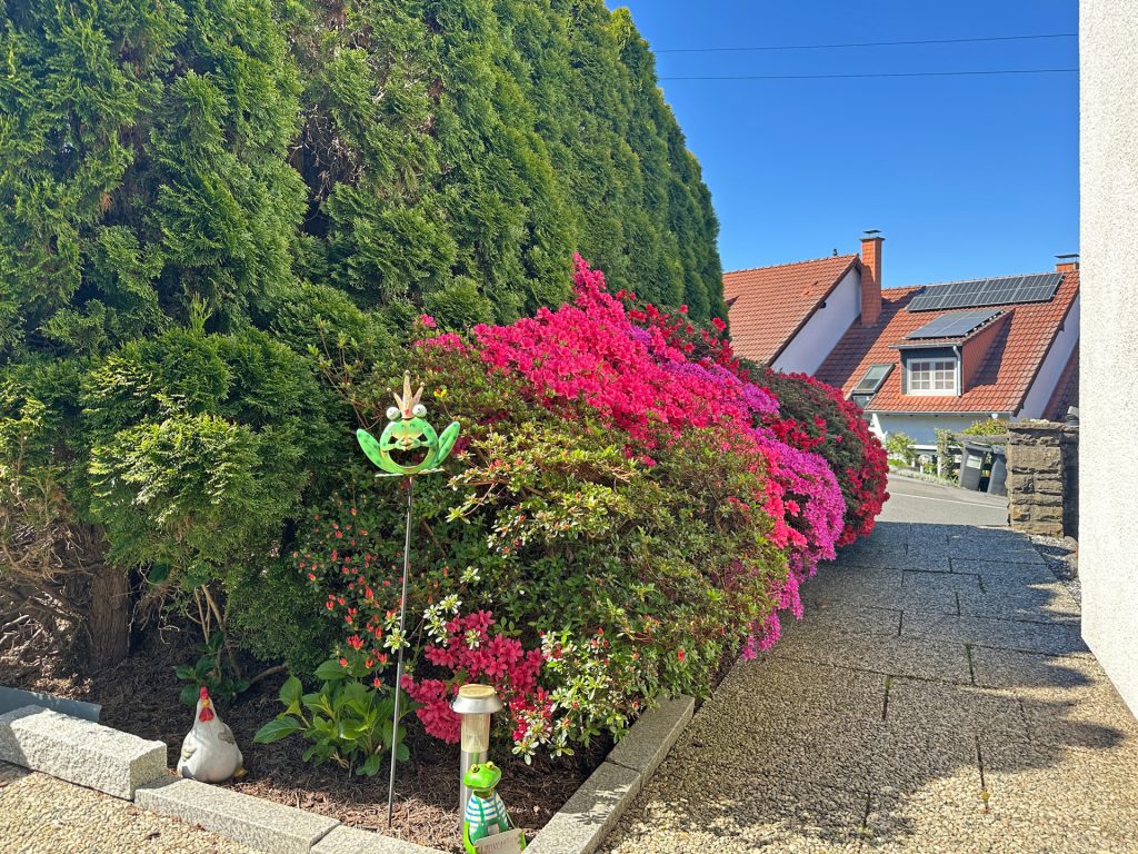 Zuwegung zum Haus Immobilienangebot - Bochum / Stiepel - Alle - Willkommen in Ihrem neuen Zuhause
in Stiepel