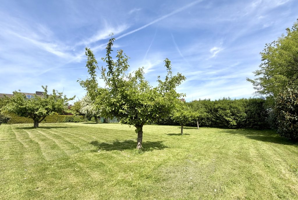 Großes Gartengrundstück Immobilienangebot - Hattingen - Alle - Wo Wohnträume Wirklichkeit werden
in Hattingen (Grenze Bochum-Linden)