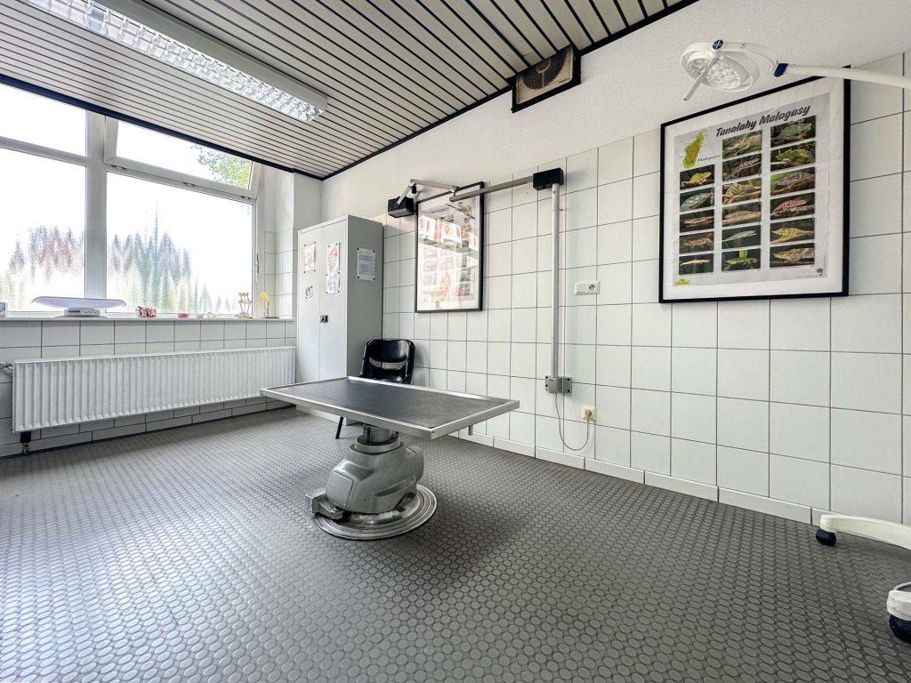 Behandlungsraum Praxis Erdgeschoss Immobilienangebot - Bochum - Alle - Freistehendes Wohn- und Geschäftshaus mit Tierarztpraxis
in Harpen
