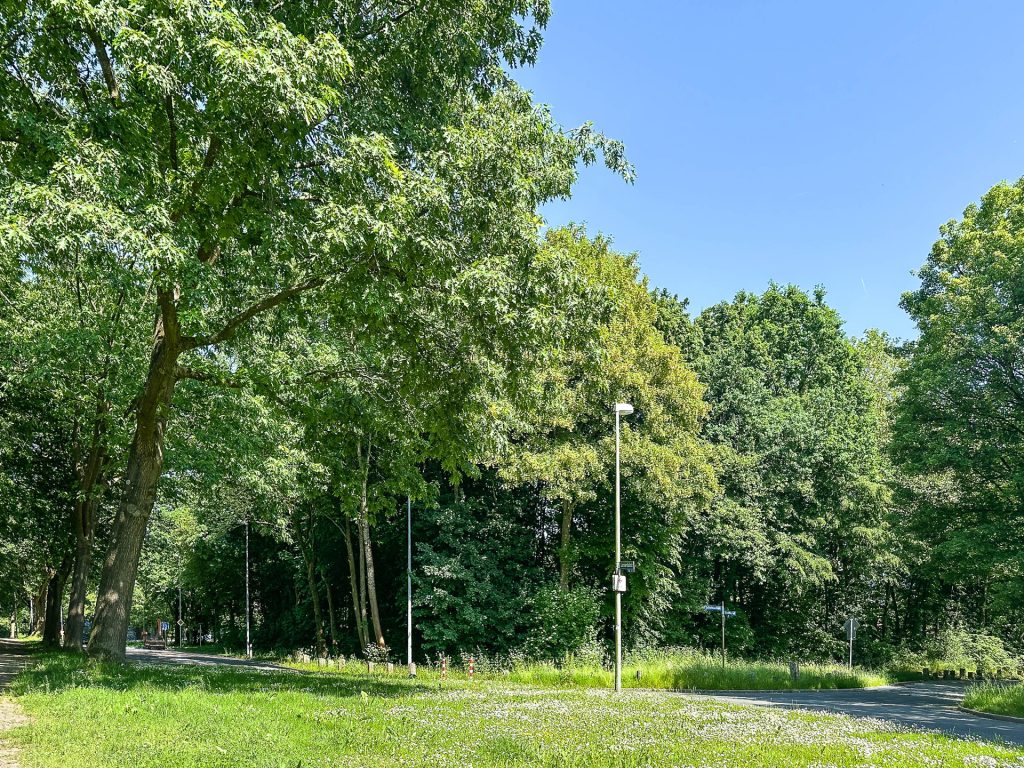 Umgebung Immobilienangebot - Bochum-Querenburg - Alle - Charmante Doppelhaushälfte mit Garten
in Querenburg