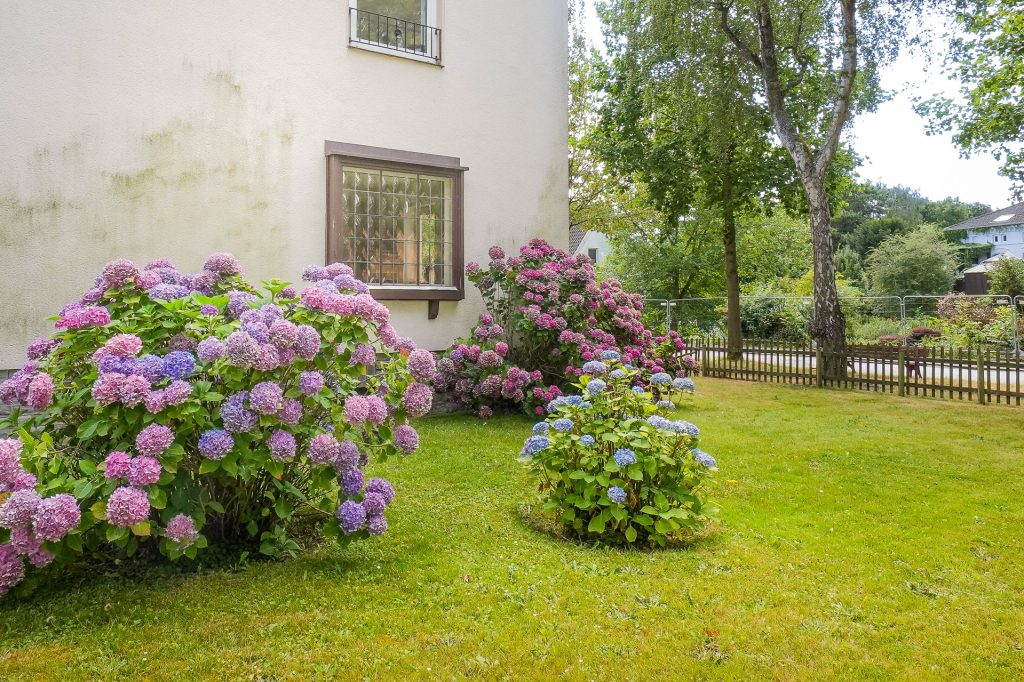 Seitenansicht Immobilienangebot - Bochum - Alle - Ihre großzügige Terrassenwohnung
in Altenbochum