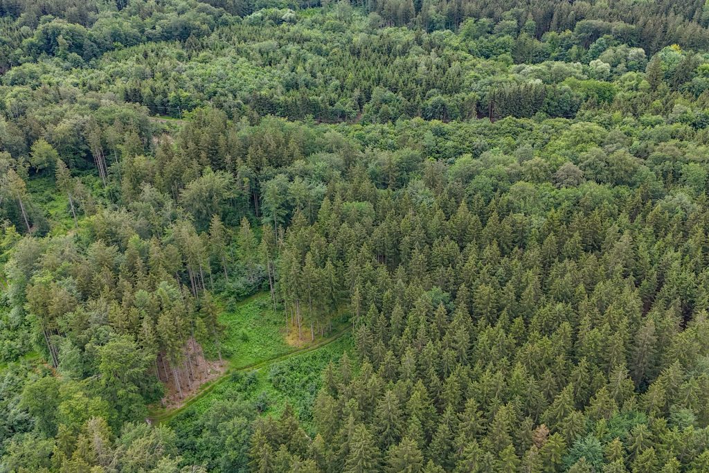 Veltrup Immobilien - Immobilienangebot - Wörthsee - Bauplätze - FICHTENTEIL - GEPFLEGTES WALDGRUNDSTÜCK IM RAUM WÖRTHSEE