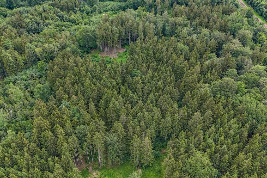 Veltrup Immobilien - Immobilienangebot - Wörthsee - Bauplätze - FICHTENTEIL - GEPFLEGTES WALDGRUNDSTÜCK IM RAUM WÖRTHSEE