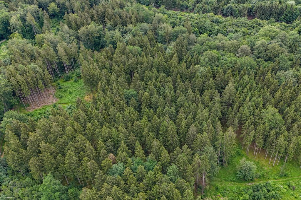 Veltrup Immobilien - Immobilienangebot - Wörthsee - Bauplätze - FICHTENTEIL - GEPFLEGTES WALDGRUNDSTÜCK IM RAUM WÖRTHSEE