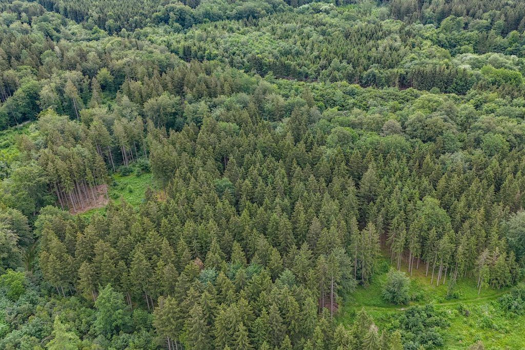 Veltrup Immobilien - Immobilienangebot - Wörthsee - Bauplätze - FICHTENTEIL - GEPFLEGTES WALDGRUNDSTÜCK IM RAUM WÖRTHSEE