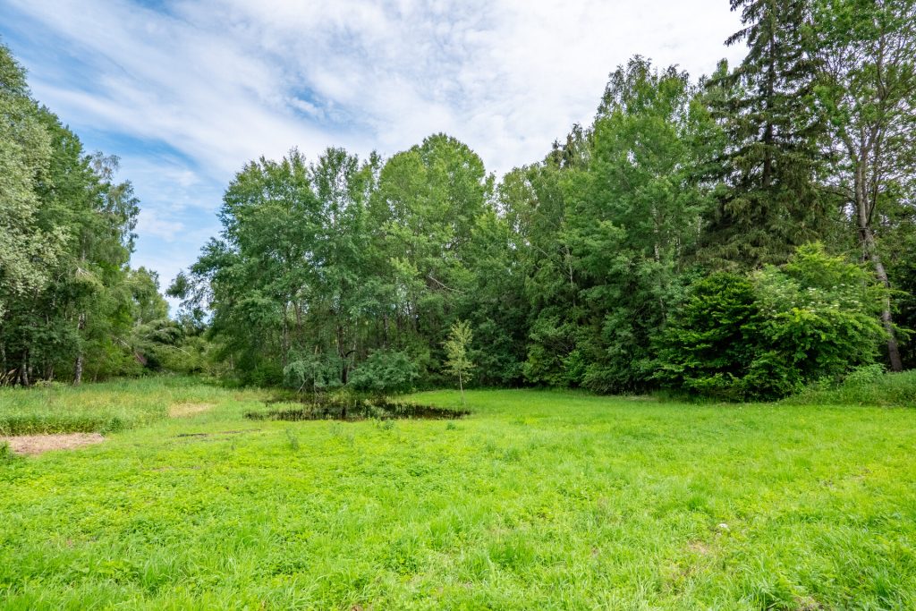 Veltrup Immobilien - Immobilienangebot - Wörthsee - Bauplätze - MOOSTEIL - ÖKOLOGISCH WERTVOLLES WALDGRUNDSTÜCK IM RAUM WÖRTHSEE