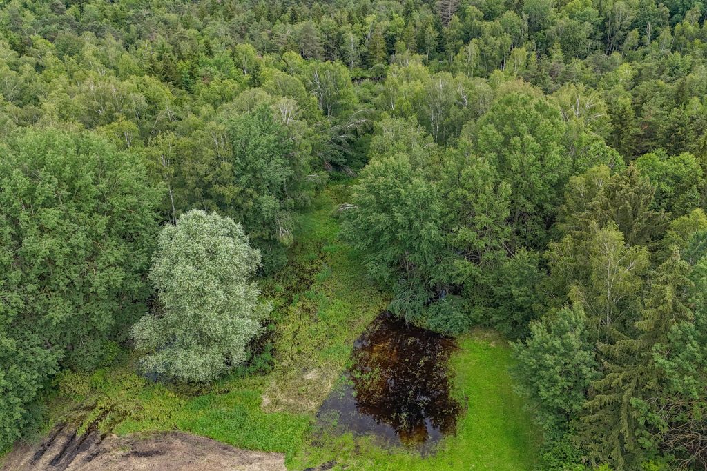 Veltrup Immobilien - Immobilienangebot - Wörthsee - Bauplätze - MOOSTEIL - ÖKOLOGISCH WERTVOLLES WALDGRUNDSTÜCK IM RAUM WÖRTHSEE