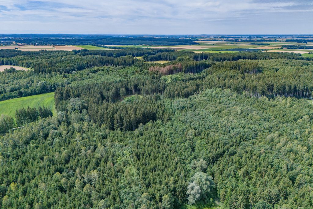Veltrup Immobilien - Immobilienangebot - Egling an der Paar / Heinrichshofen - Bauplätze - HEINRICHSHOFER HOLZ - FORSTGRUNDSTÜCK MIT STRUKTUR