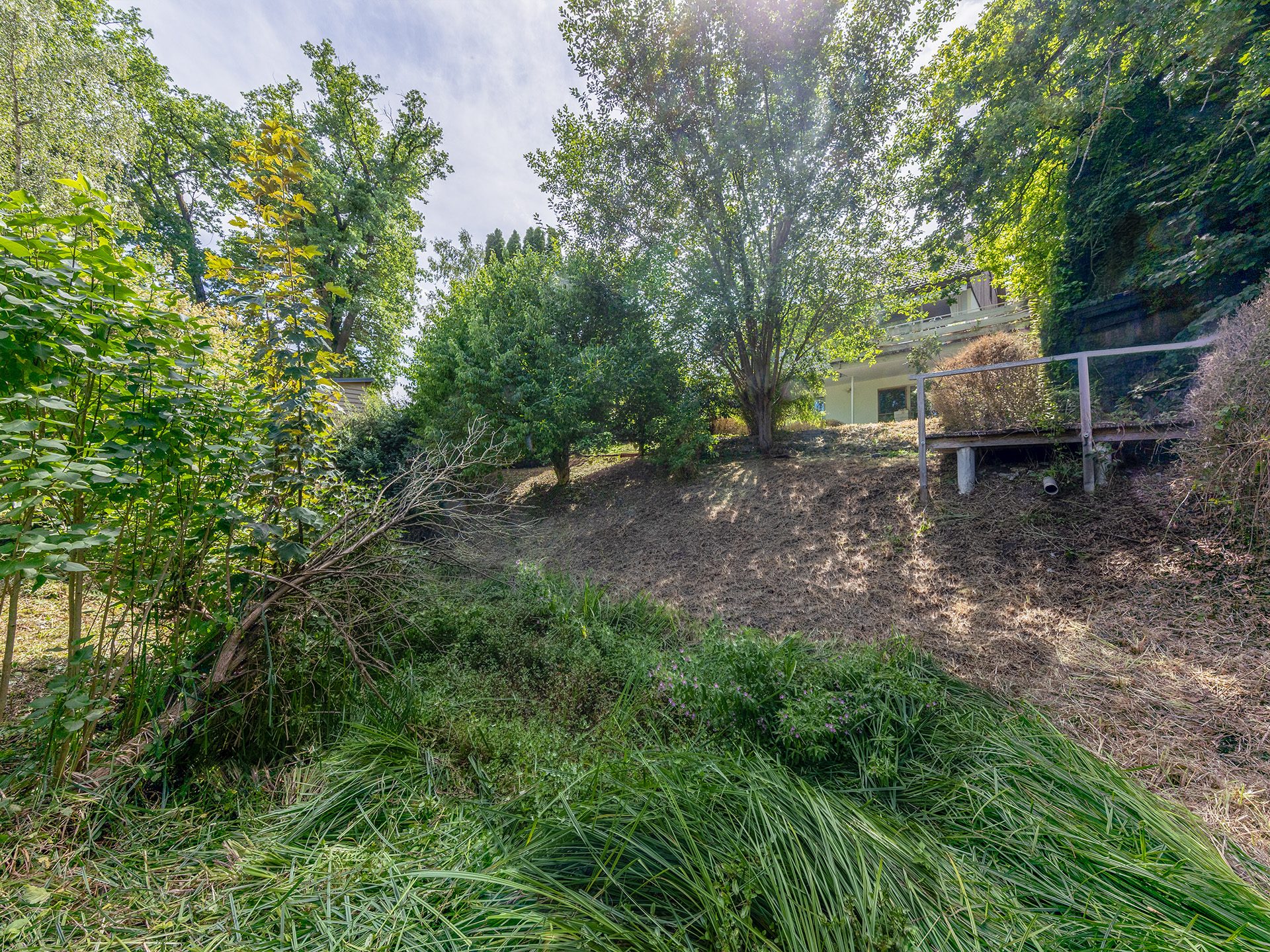 Veltrup Immobilien - Immobilienangebot - Schondorf am Ammersee - Bauplätze - EIN ORT FÜR VISONEN : GRUNDSTÜCK MIT HANGLAGE IN SCHONDORF