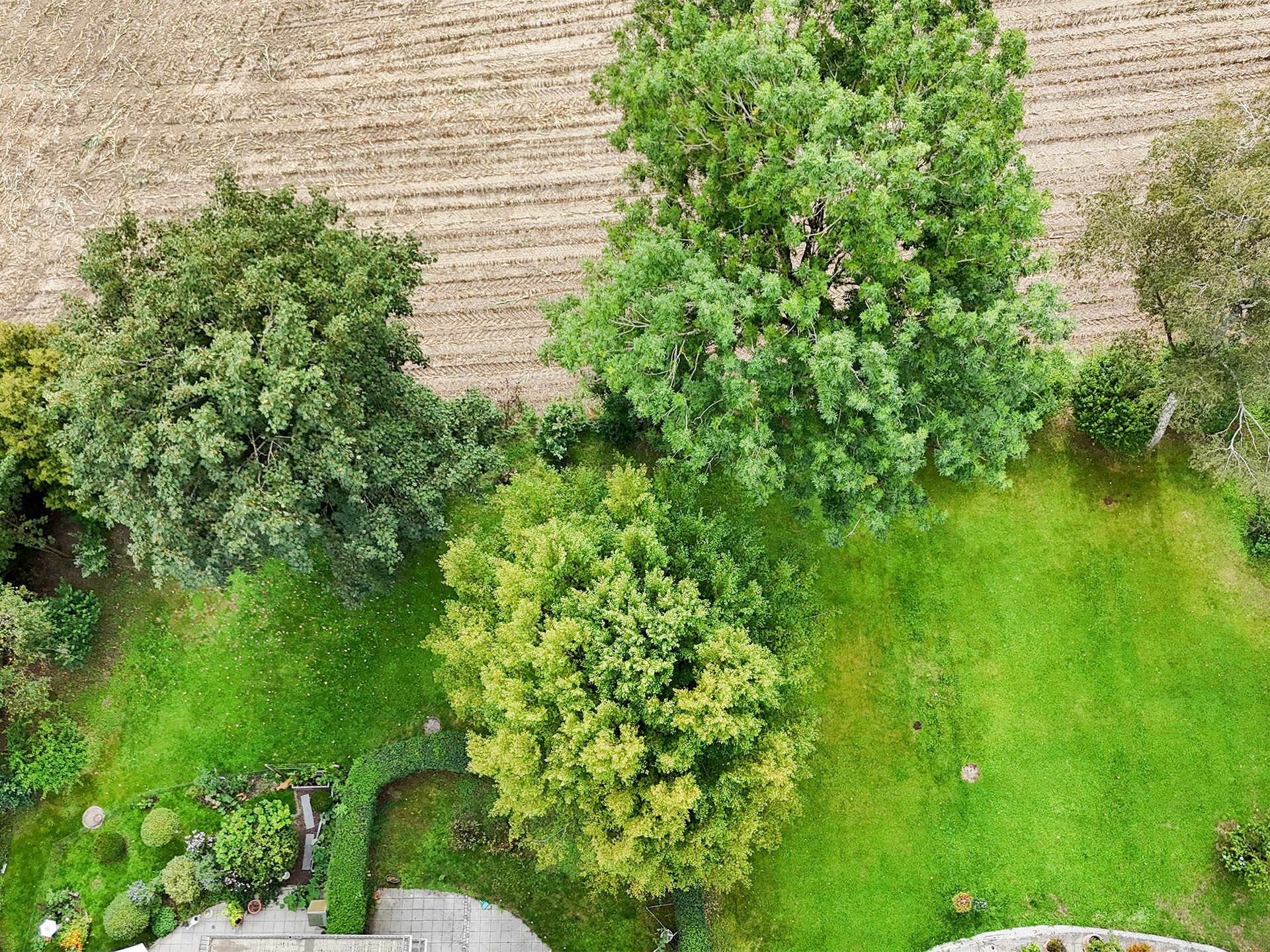 Veltrup Immobilien - Immobilienangebot - Greifenberg - Wohnen - MEHR ALS EIN ZIMMER - HELLE DACHGESCHOSSWOHNUNG MIT GALERIE & BALKON IM GRÜNEN