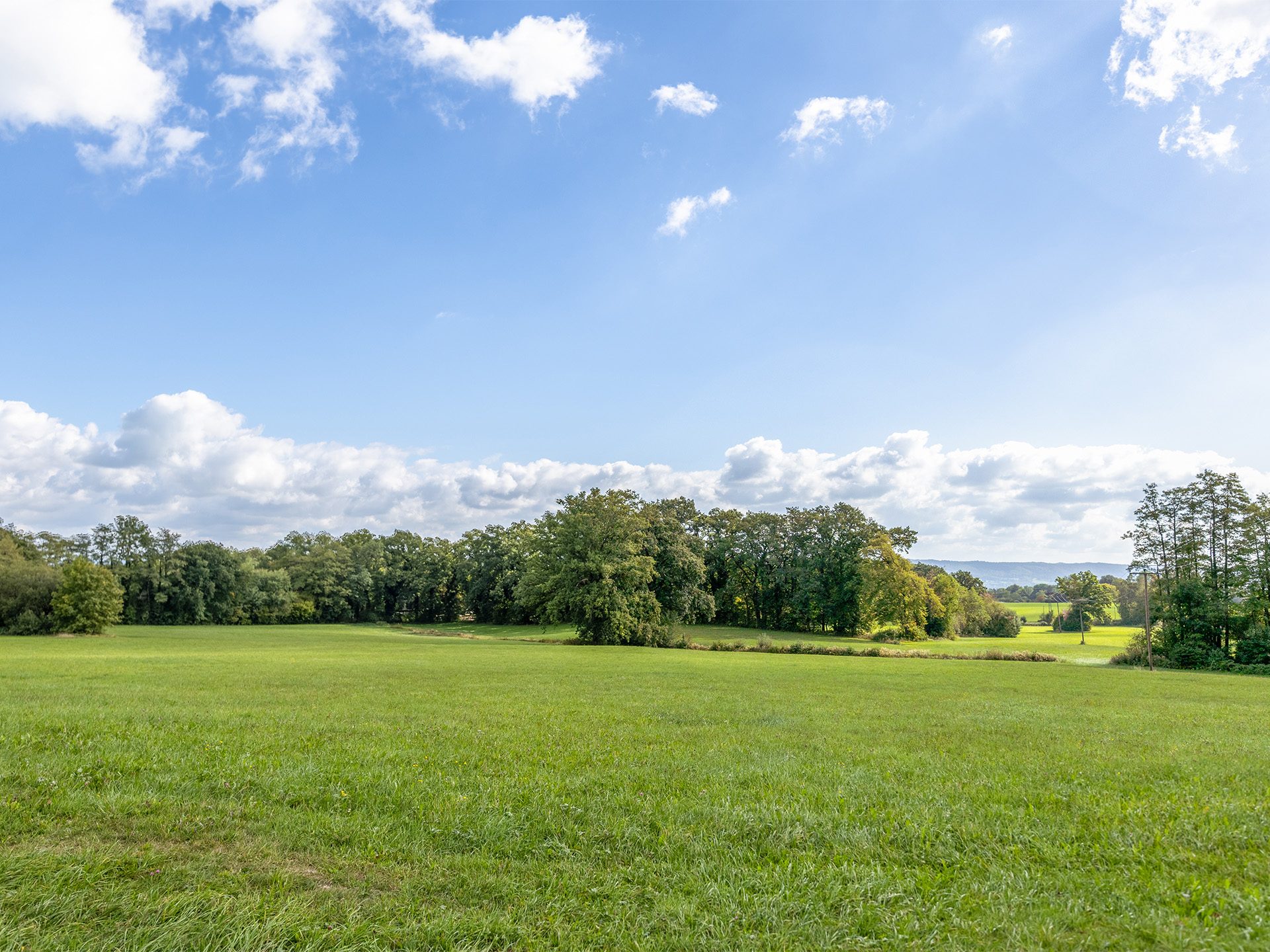 Veltrup Immobilien - Immobilienangebot - Dießen am Ammersee - Bauplätze - LANDWIRTSCHAFTSFLÄCHE VON ÜBER 3 HEKTAR IM DIESSNER HINTERLAND