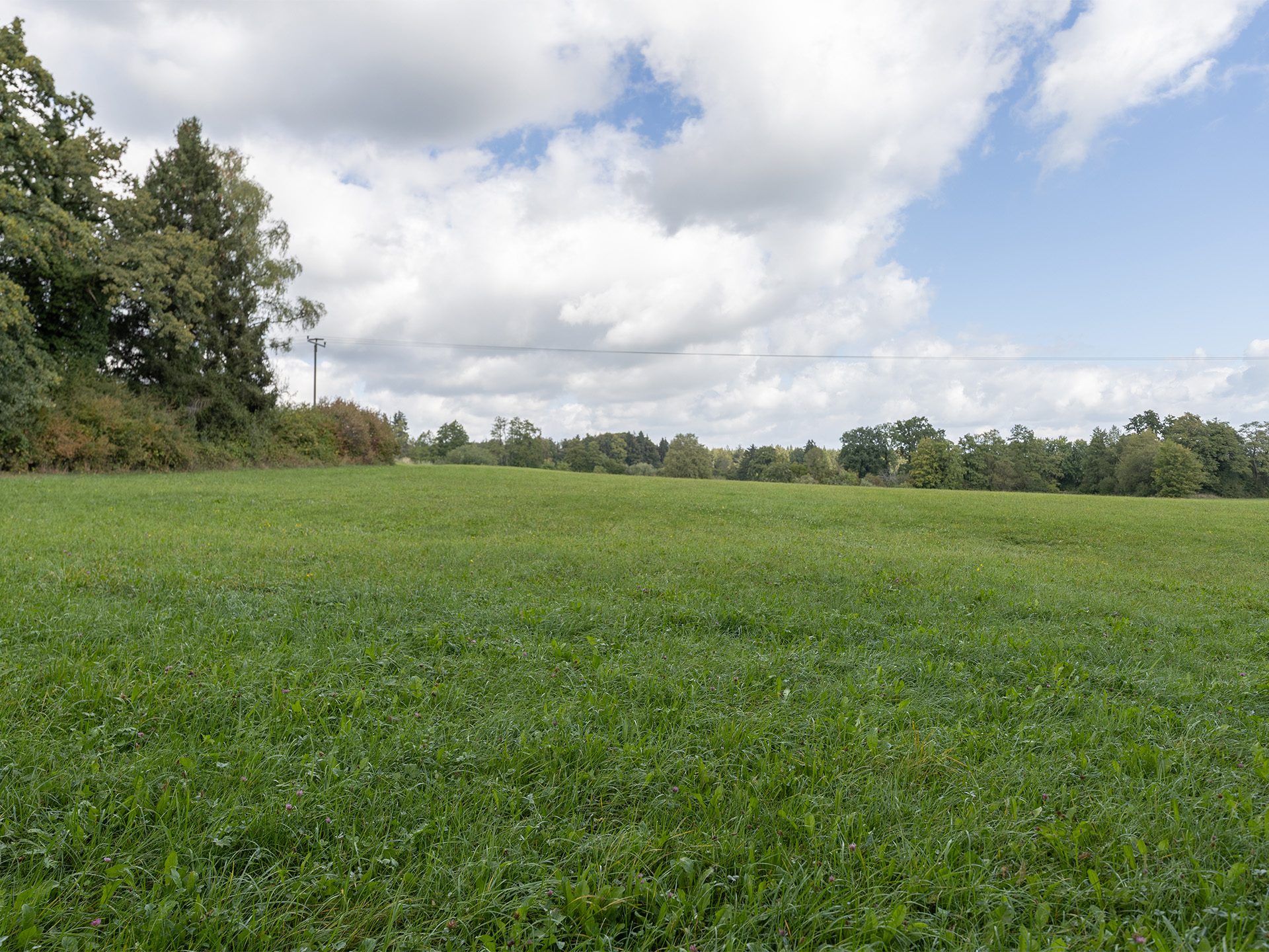 Veltrup Immobilien - Immobilienangebot - Dießen am Ammersee - Bauplätze - LANDWIRTSCHAFTSFLÄCHE VON ÜBER 3 HEKTAR IM DIESSNER HINTERLAND