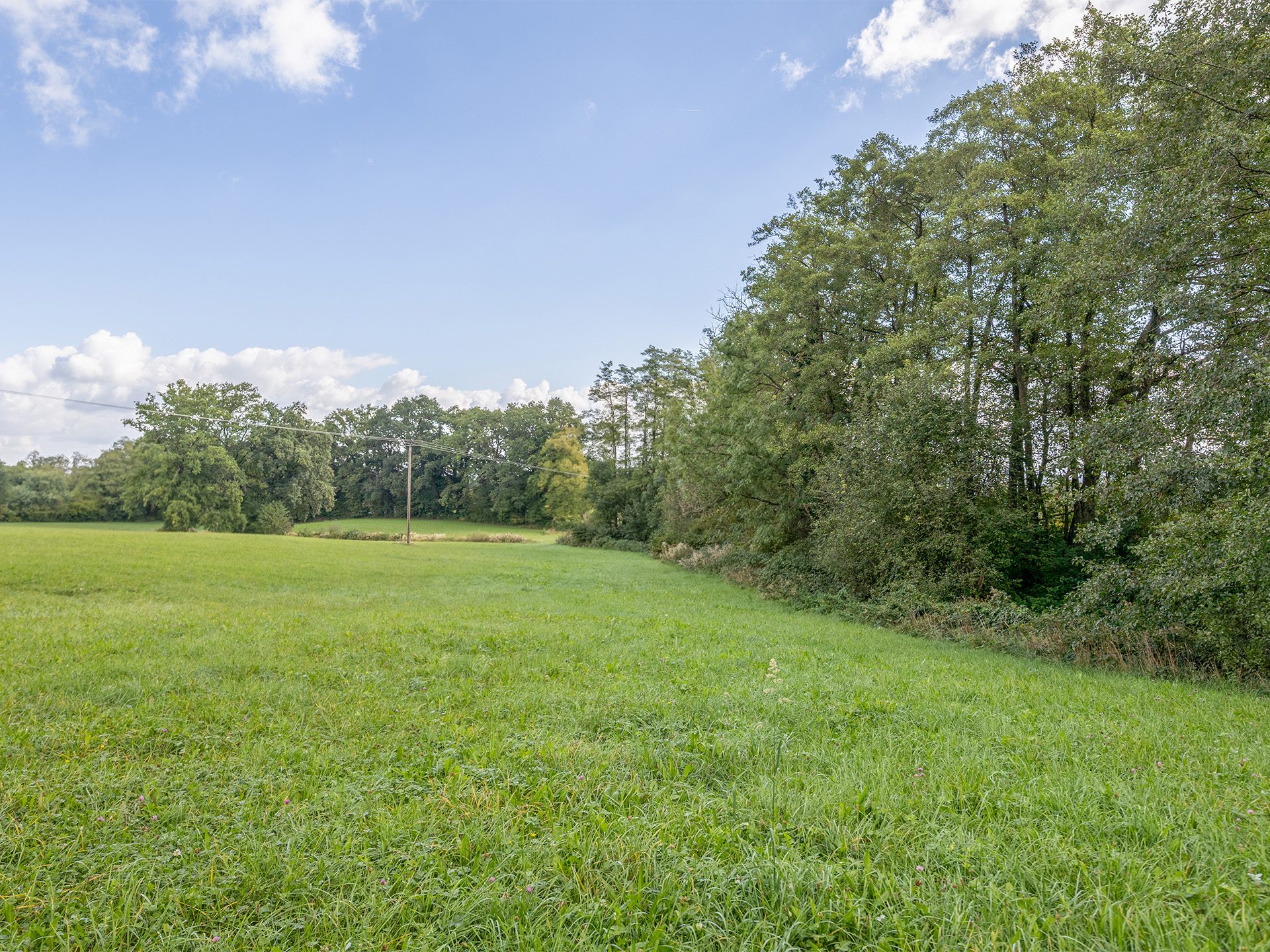 Veltrup Immobilien - Immobilienangebot - Dießen am Ammersee - Bauplätze - LANDWIRTSCHAFTSFLÄCHE VON ÜBER 3 HEKTAR IM DIESSNER HINTERLAND