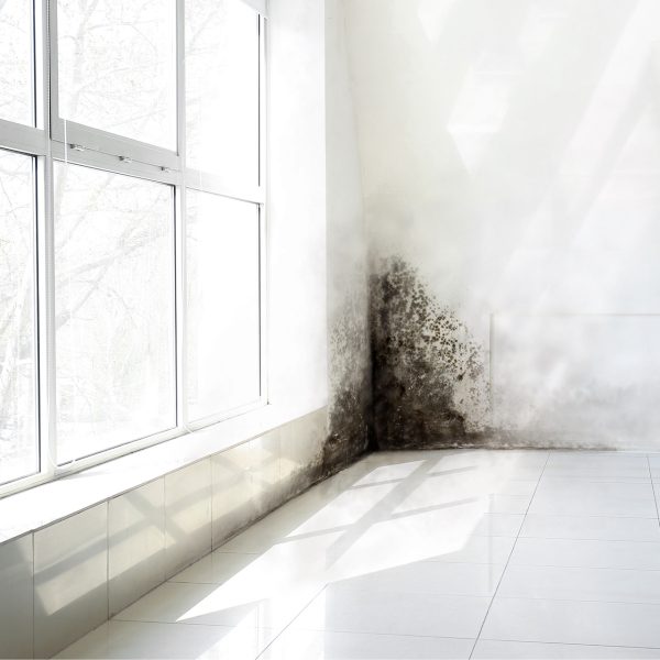 Schimmel an der Wand in einem Raum