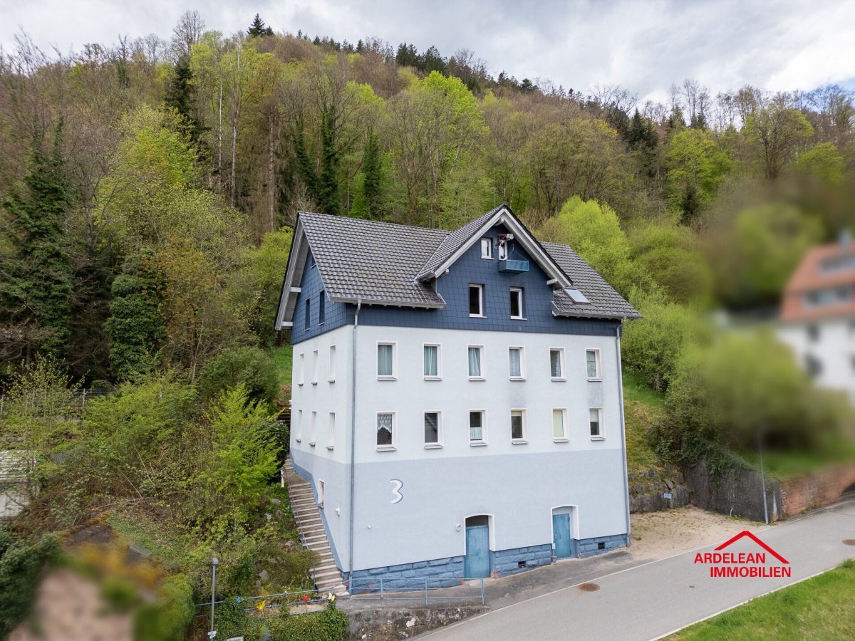 Immobilienangebot - Schramberg - Häuser - Schramberg: Großes Haus für die Familie – Wohnen und Vermieten unter einem Dach