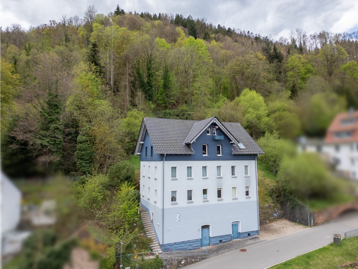 Immobilienangebot - Schramberg - Häuser - Schramberg: Großes Haus für die Familie – Wohnen und Vermieten unter einem Dach