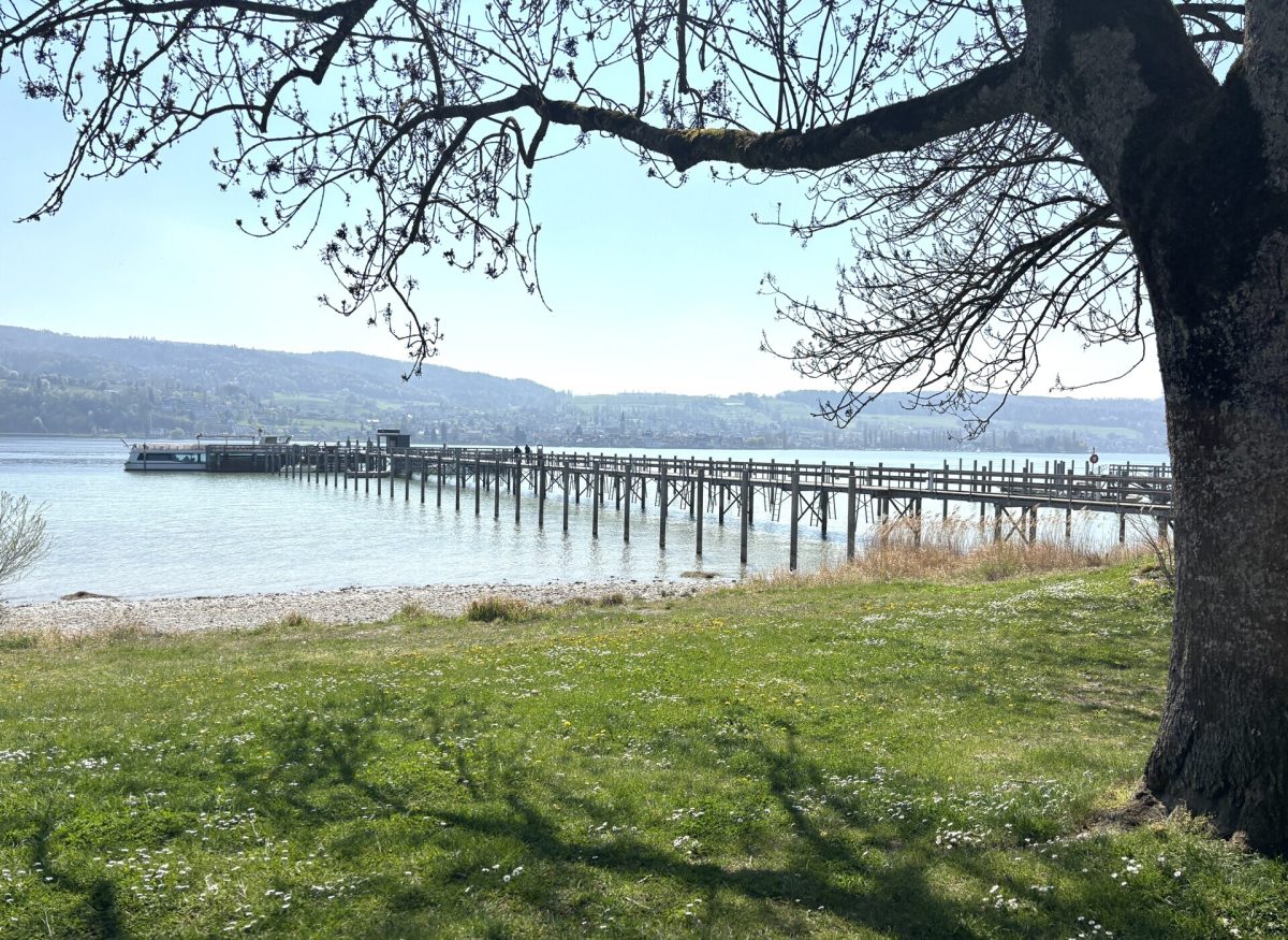 Immobilienangebot - Gaienhofen - Gewerbe - Kleine, günstige Gewerbefläche auf der Höri – mit Außenstellplatz