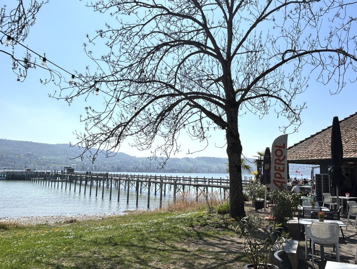 Immobilienangebot - Gaienhofen - Gewerbe - Kleine, günstige Gewerbefläche auf der Höri – mit Außenstellplatz