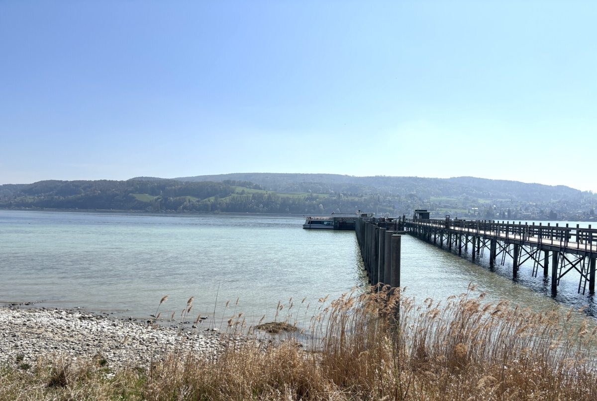 Immobilienangebot - Gaienhofen - Gewerbe - Kleine, günstige Gewerbefläche auf der Höri – mit Außenstellplatz