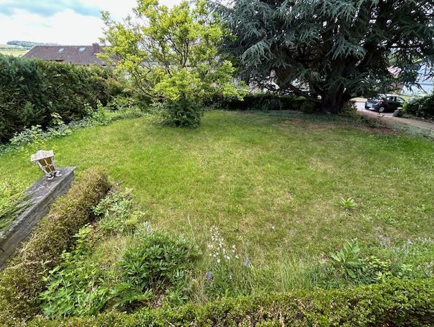Immobilienangebot - Brakel - Alle - Großzügiges Einfamilienhaus in Brakel