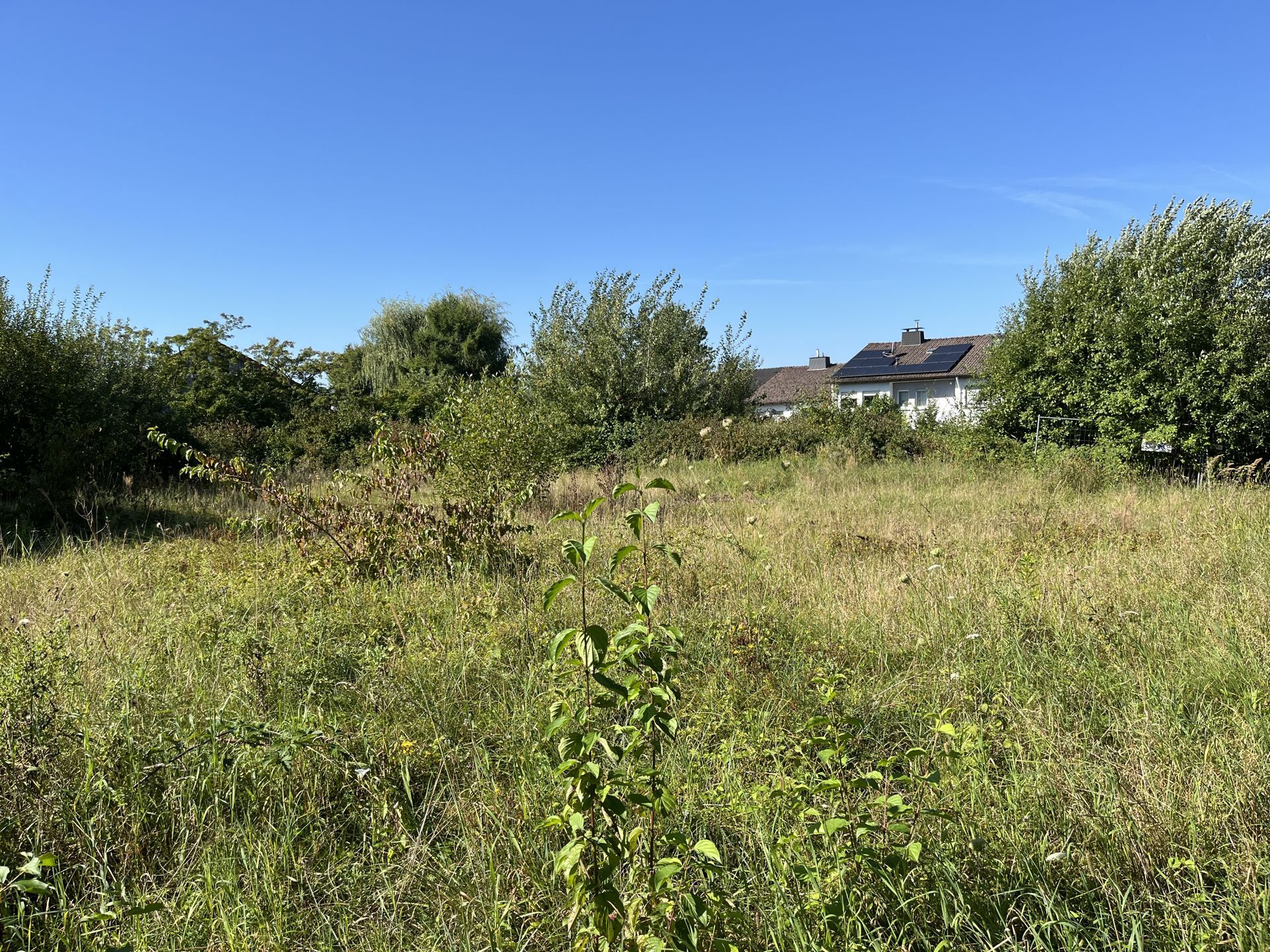 Immobilienangebot - Detmold - Grundstücke - Ruhiges Baugrundstück im Grünen: für Wohnen + Gewerbe