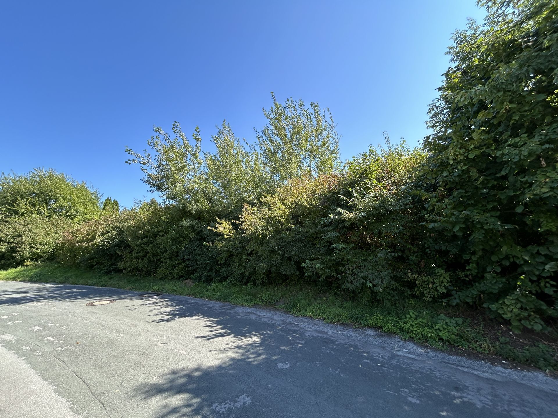 Immobilienangebot - Detmold - Grundstücke - Ruhiges Baugrundstück im Grünen: für Wohnen + Gewerbe