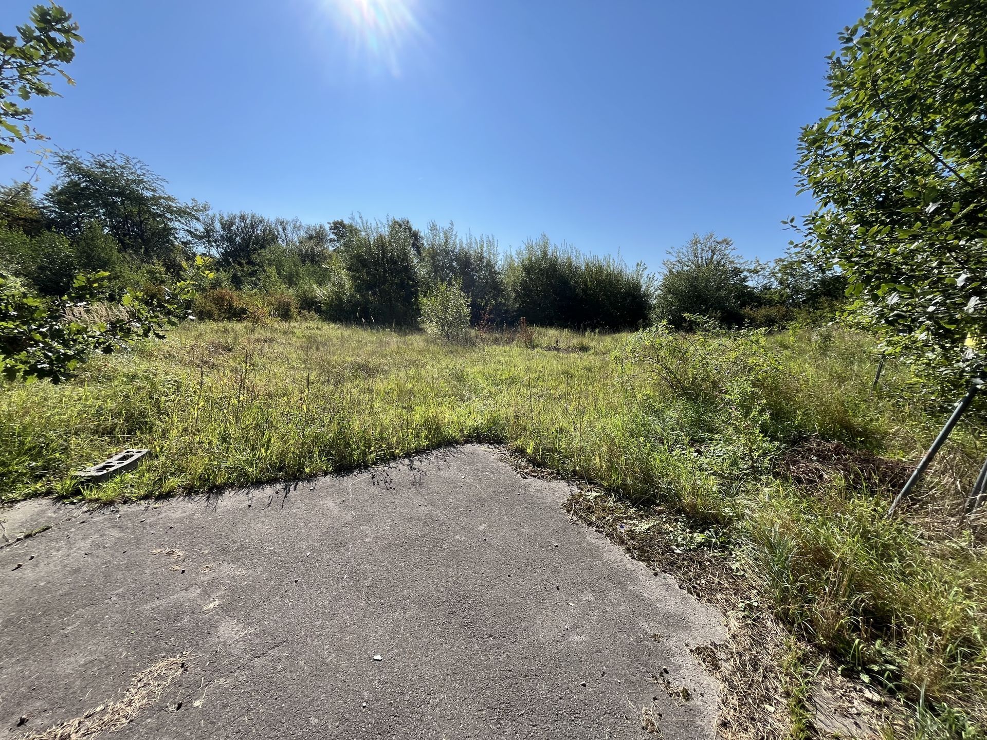 Immobilienangebot - Detmold - Grundstücke - Ruhiges Baugrundstück im Grünen: für Wohnen + Gewerbe