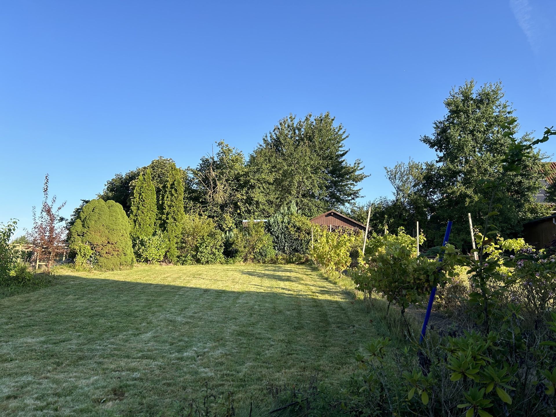 Immobilienangebot - Steinheim - Alle - Willkommen in Ihrem neuen Zuhause!