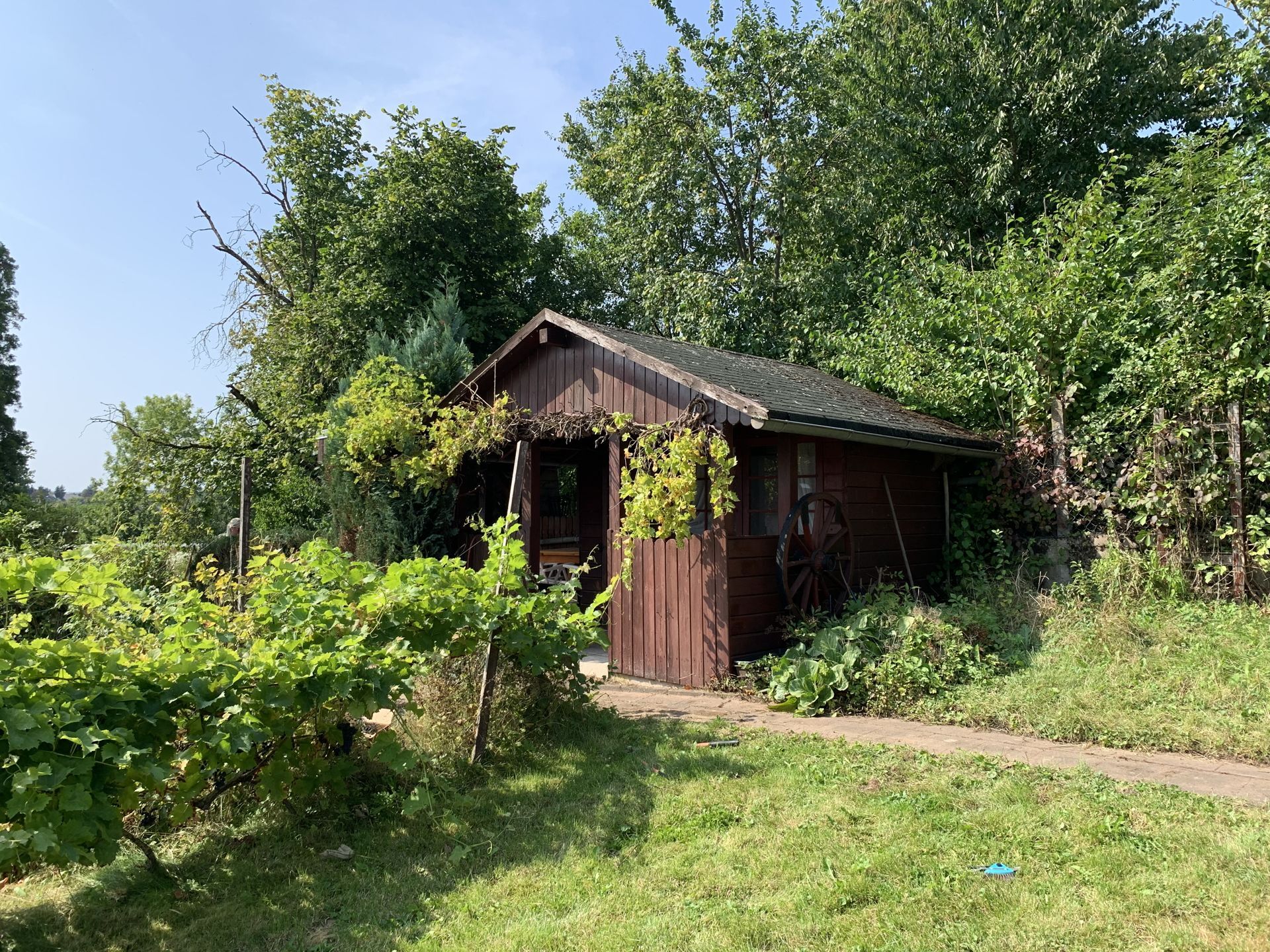Immobilienangebot - Steinheim - Alle - Willkommen in Ihrem neuen Zuhause!