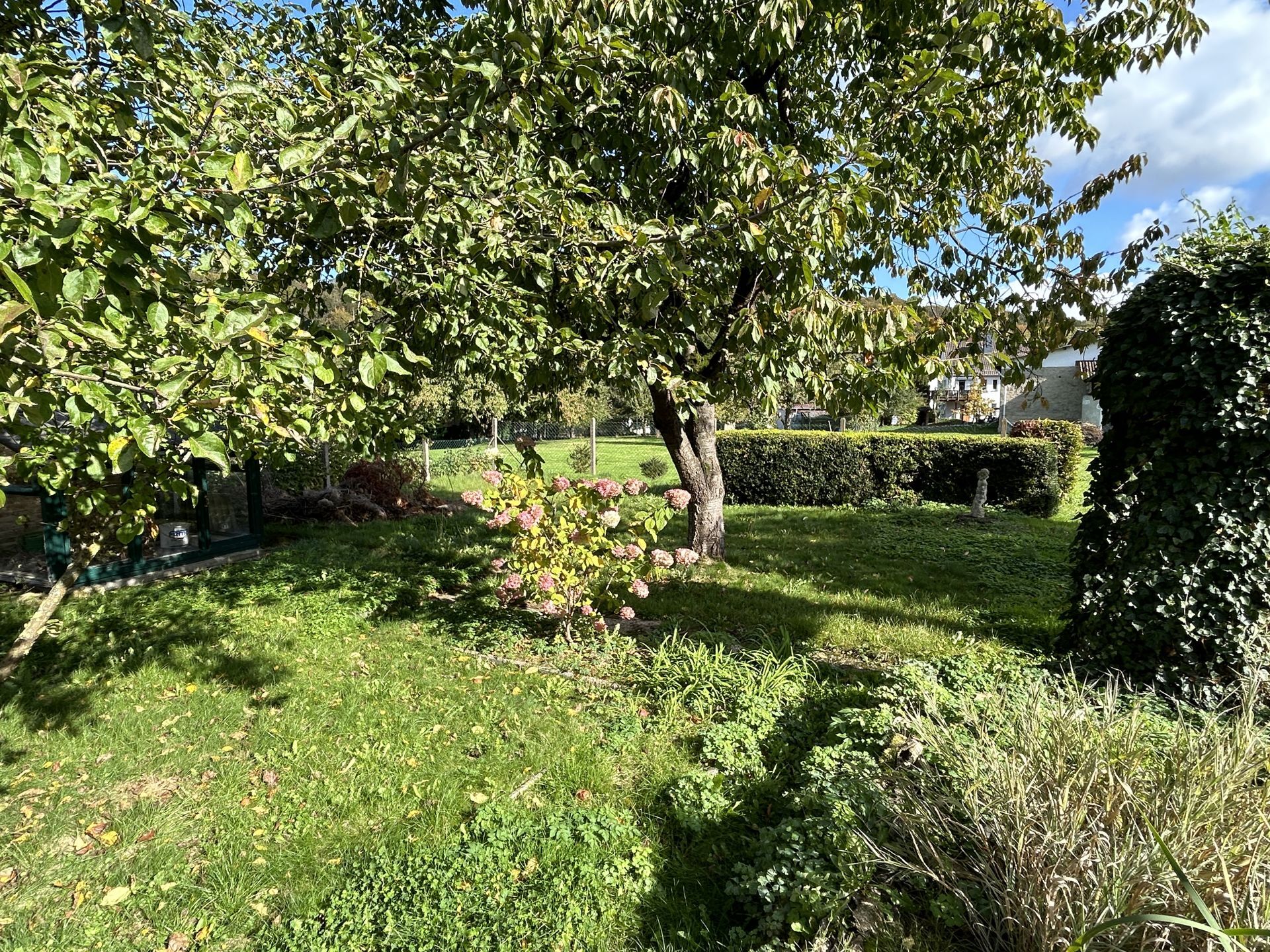 Immobilienangebot - Warburg / Herlinghausen - Alle - EFH zur freien Entfaltung in Warburg-Herlinghausen