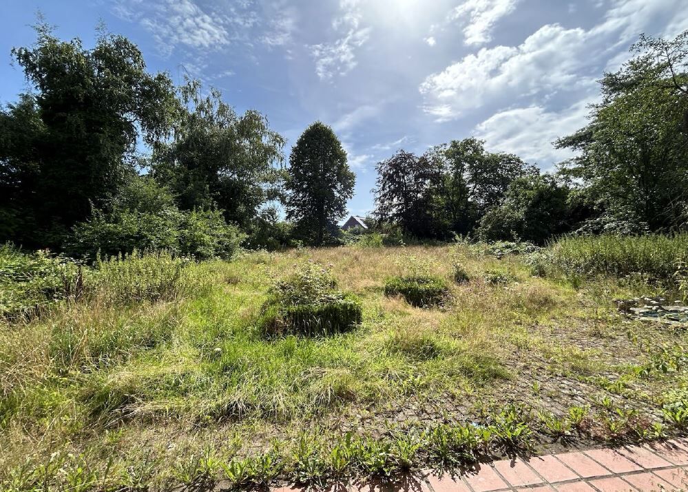 Immobilienangebot - Boffzen - Alle - Traumhaftes Einfamilienhaus im Landhausstil
