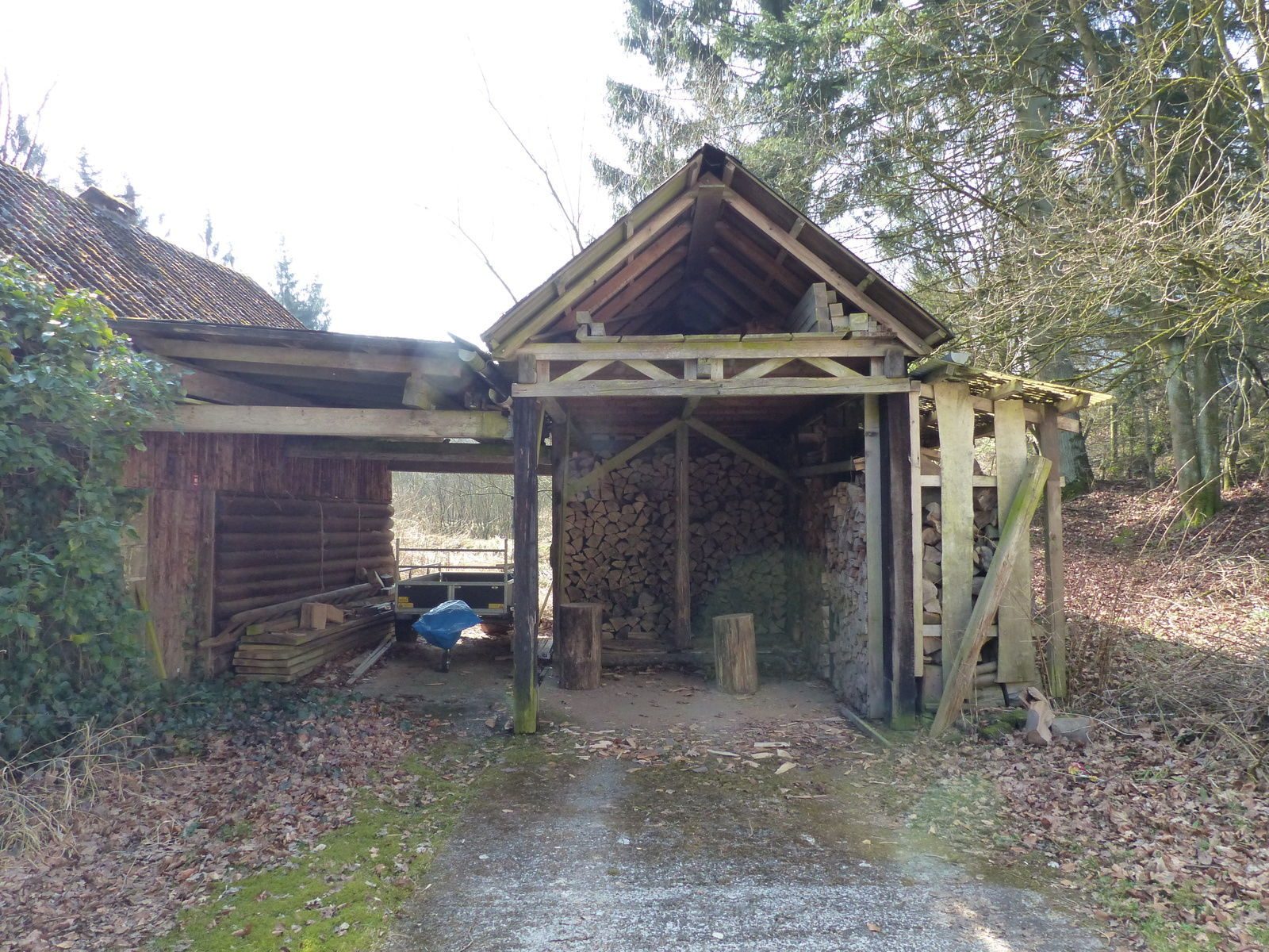 Immobilienangebot - Horn-Bad Meinberg / Veldrom - Alle - Mitten in der Natur individuelle Ideen verwirklichen!