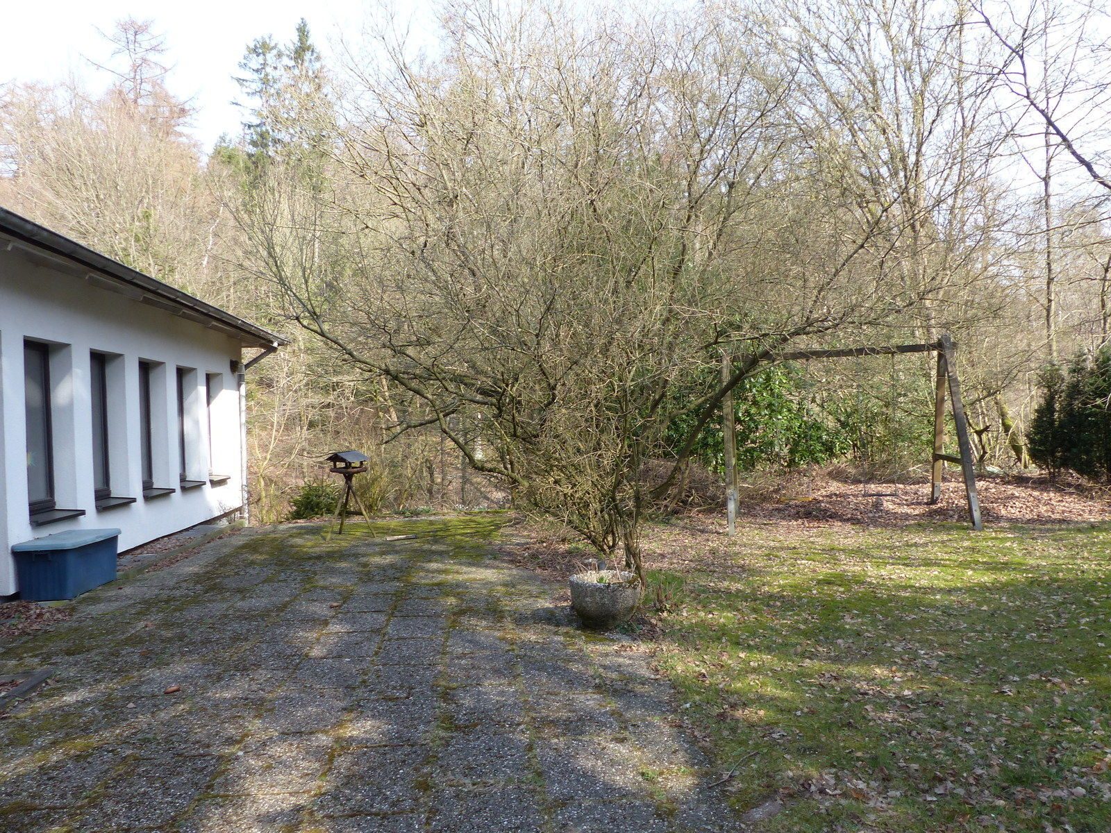 Immobilienangebot - Horn-Bad Meinberg / Veldrom - Alle - Mitten in der Natur individuelle Ideen verwirklichen!