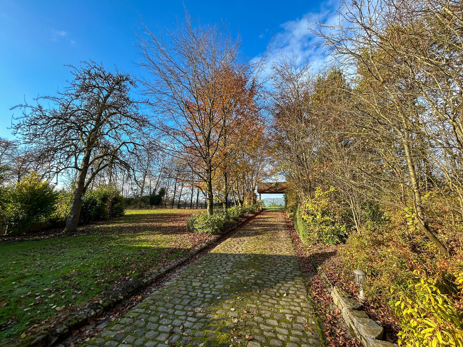 Immobilienangebot - Horn-Bad Meinberg / Fissenknick - Alle - „Erlebniswelt für Fachwerkliebhaber“ in Fast-Alleinlage!