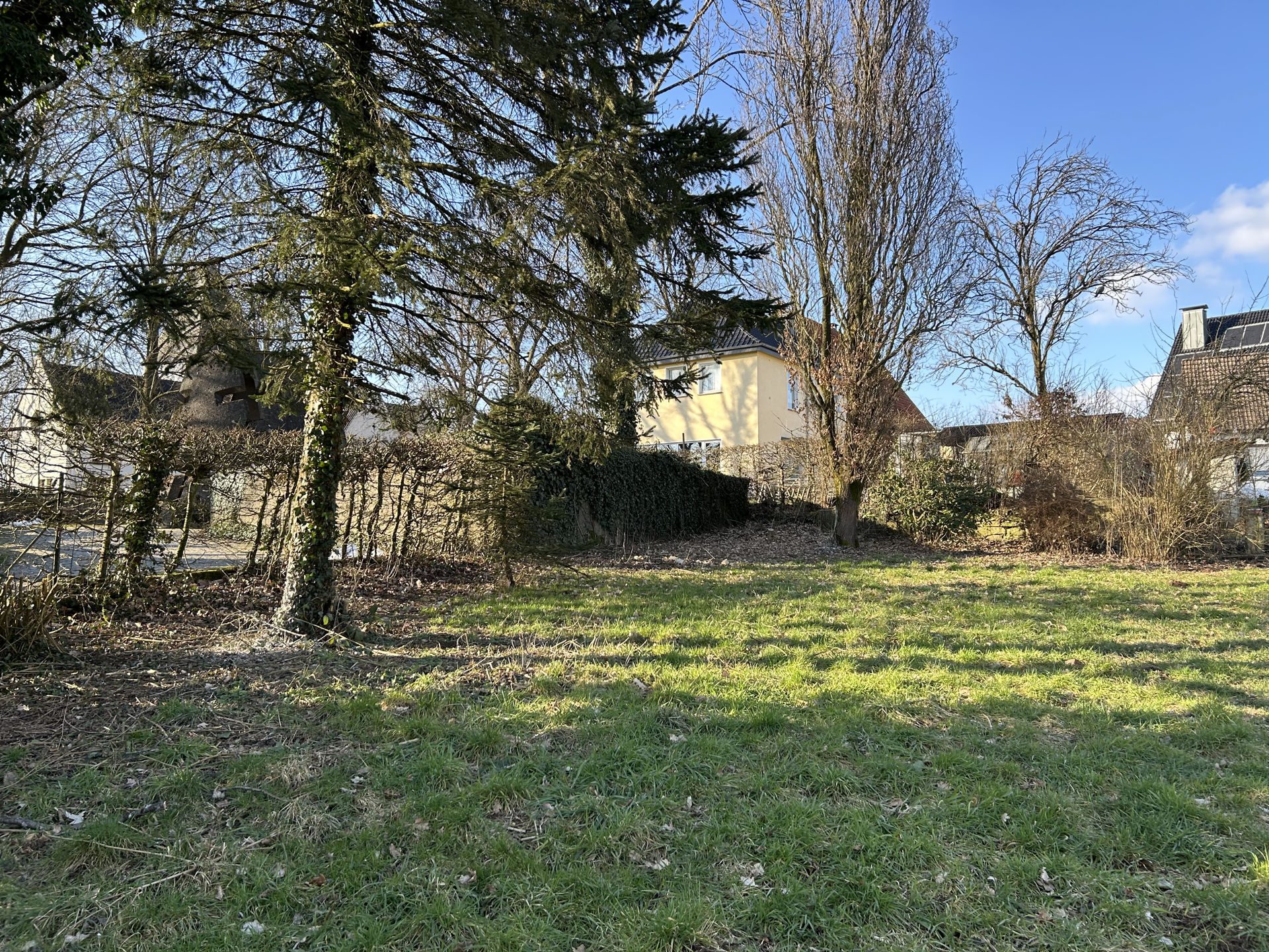 Immobilienangebot - Horn-Bad Meinberg - Grundstücke - Einmalige Gelegenheit!