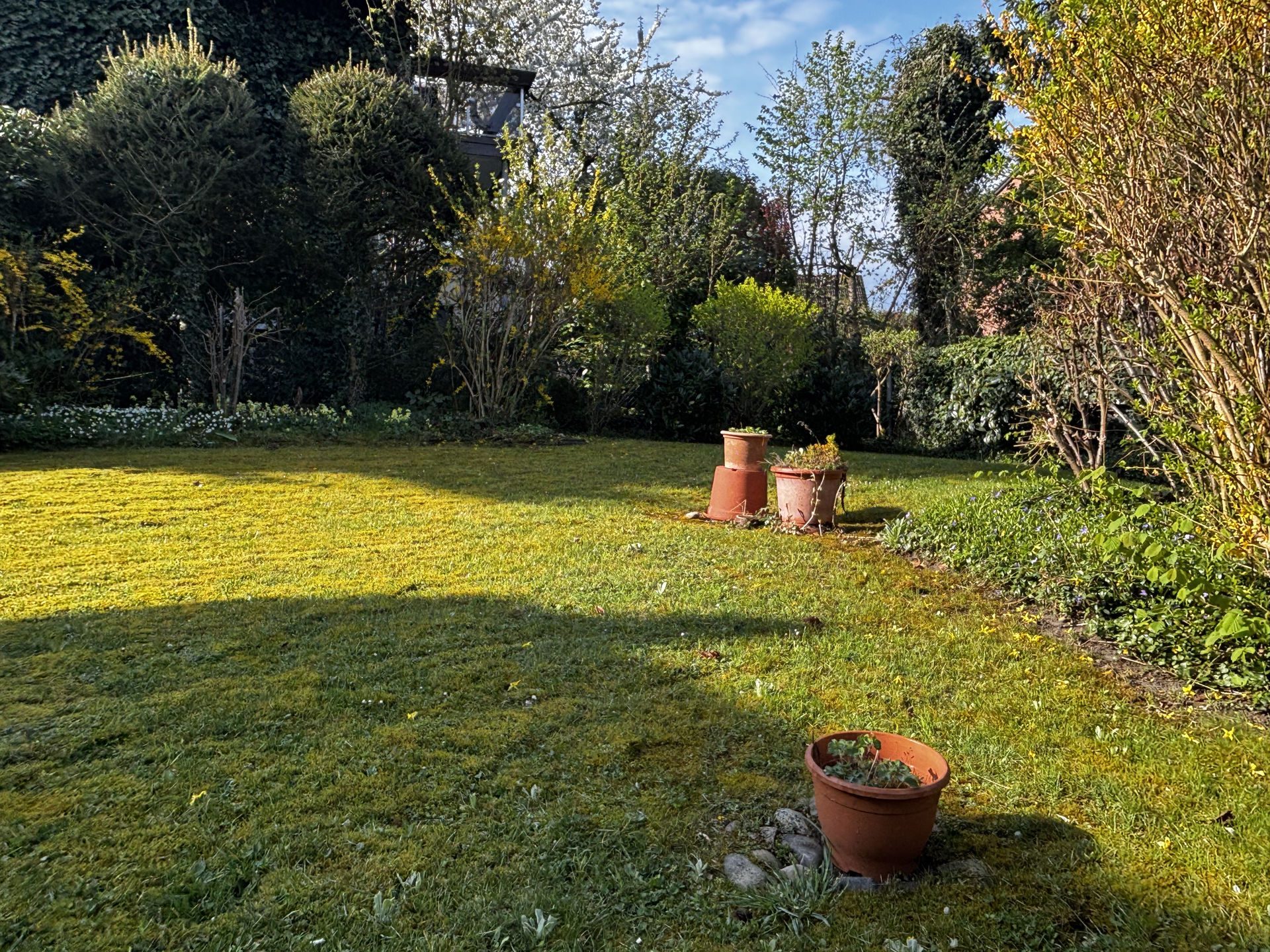 Immobilienangebot - Lage - Alle - Reihenendhaus in attraktiver Lage wartet auf neuen Glanz!
