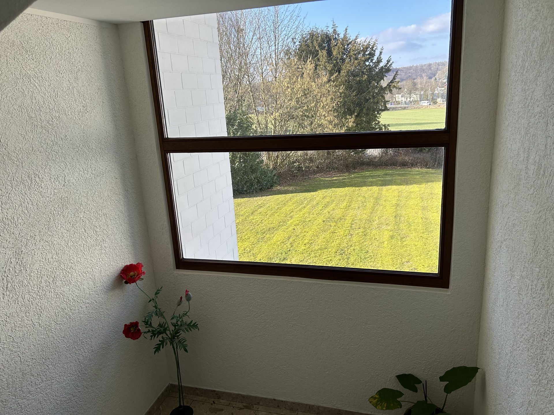 Immobilienangebot - Horn-Bad Meinberg - Alle - Ideales Renditeobjekt