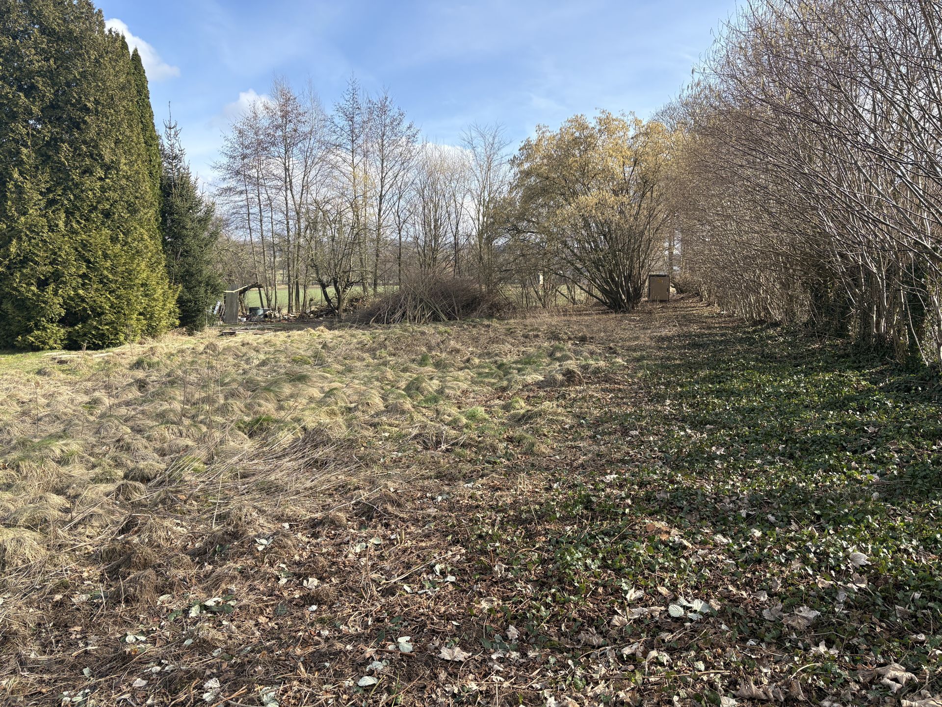 Immobilienangebot - Detmold / Remmighausen - Grundstücke - Baugrundstück mit guter Anbindung!