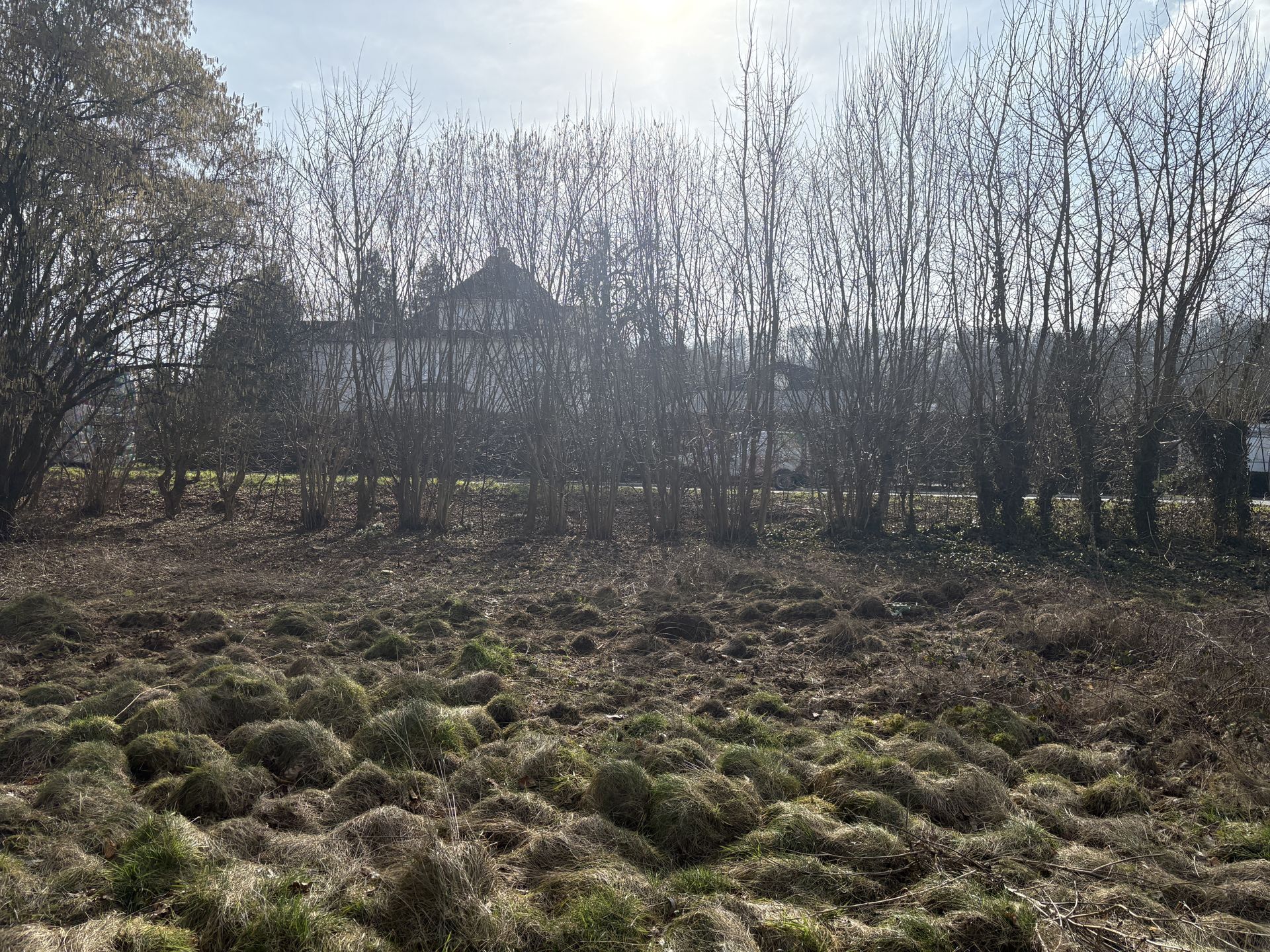 Immobilienangebot - Detmold / Remmighausen - Grundstücke - Baugrundstück in Naturnähe!