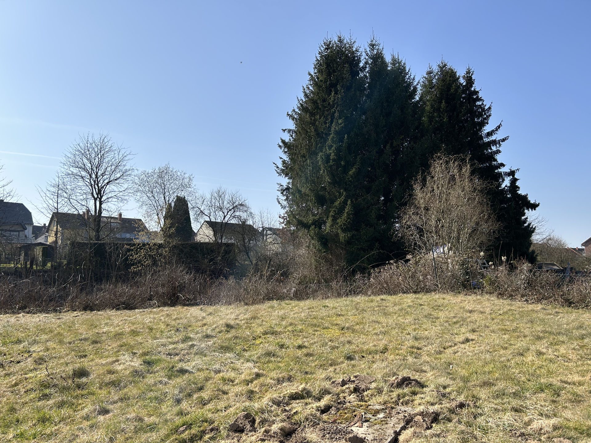 Immobilienangebot - Barntrup - Alle - Klassiker zum Aufarbeiten!