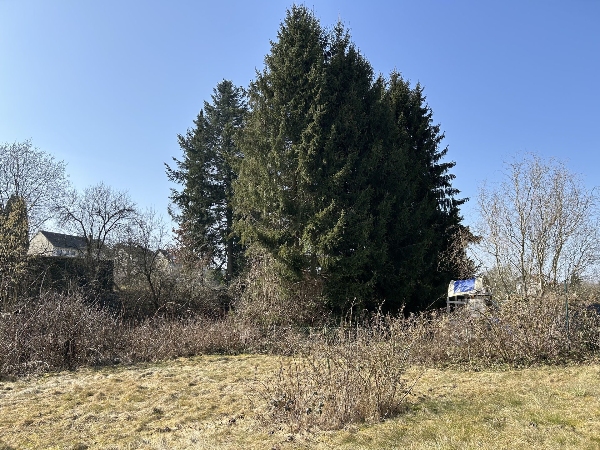 Immobilienangebot - Barntrup - Alle - Klassiker zum Aufarbeiten!
