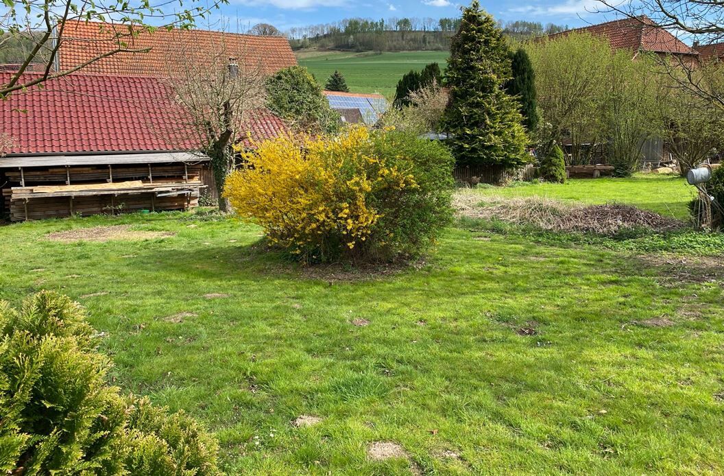 Immobilienangebot - Höxter / Ovenhausen - Alle - Großzügiges Wohnhaus mit Potenzial - für Familien und Individualisten