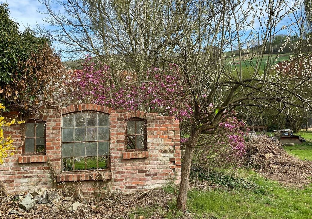 Immobilienangebot - Höxter / Ovenhausen - Alle - Großzügiges Wohnhaus mit Potenzial - für Familien und Individualisten