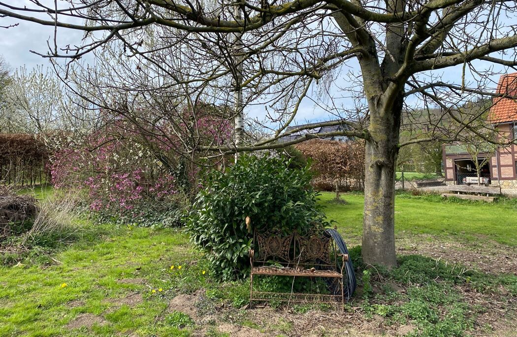 Immobilienangebot - Höxter / Ovenhausen - Alle - Großzügiges Wohnhaus mit Potenzial - für Familien und Individualisten