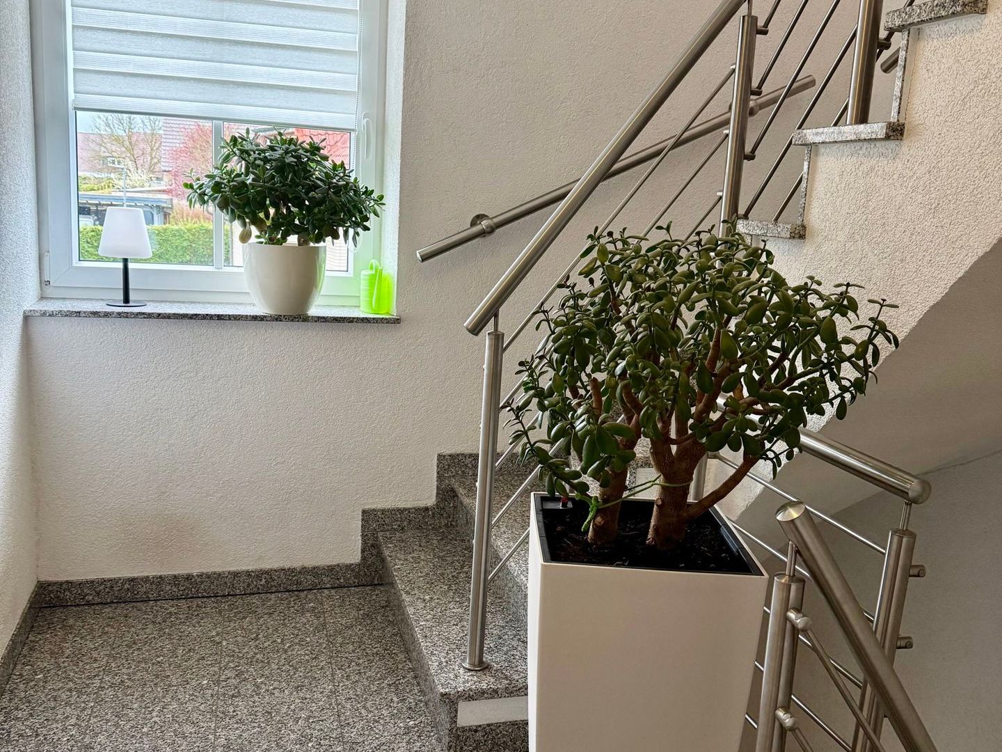 Immobilienangebot - Steinheim - Alle - Traumhaftes 1-2 FH mit Doppelgarage in Steinheim – Ihr neues Zuhause wartet auf Sie!