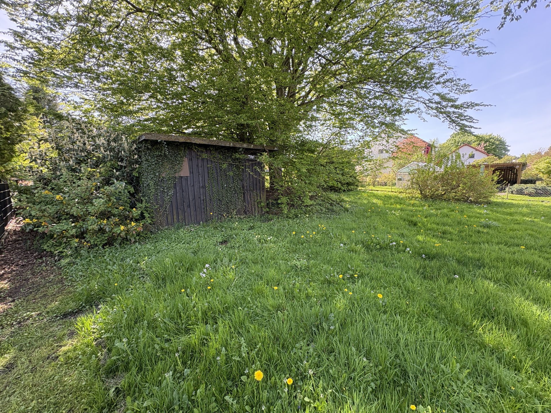 Immobilienangebot - Horn-Bad Meinberg - Grundstücke - "Grund genug" für Ihr neues Zuhause