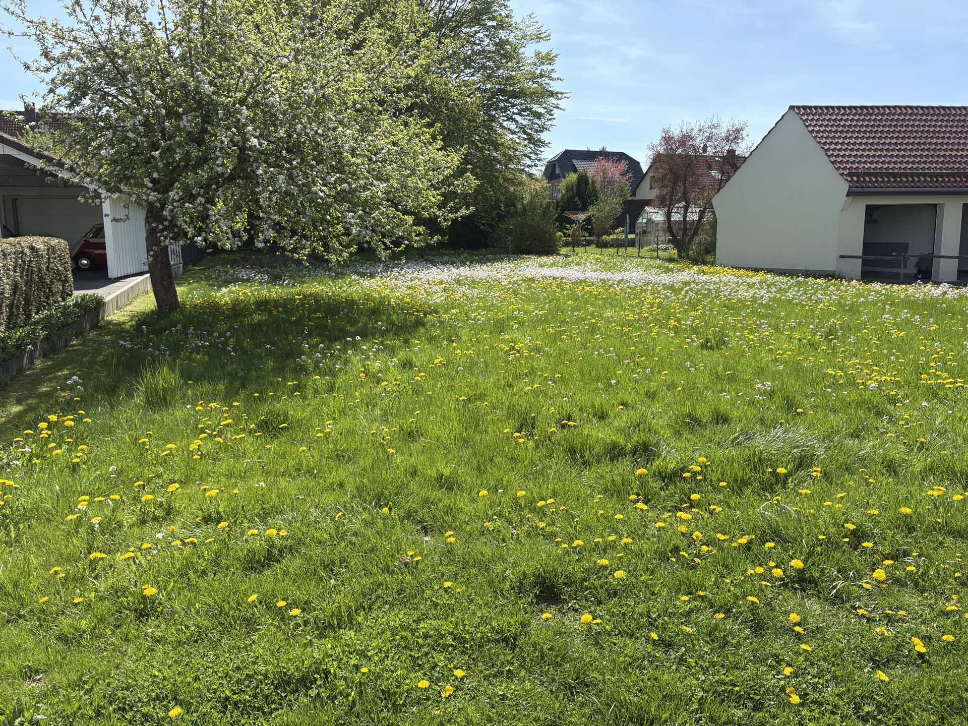 Immobilienangebot - Horn-Bad Meinberg - Grundstücke - "Grund genug" für Ihr neues Zuhause