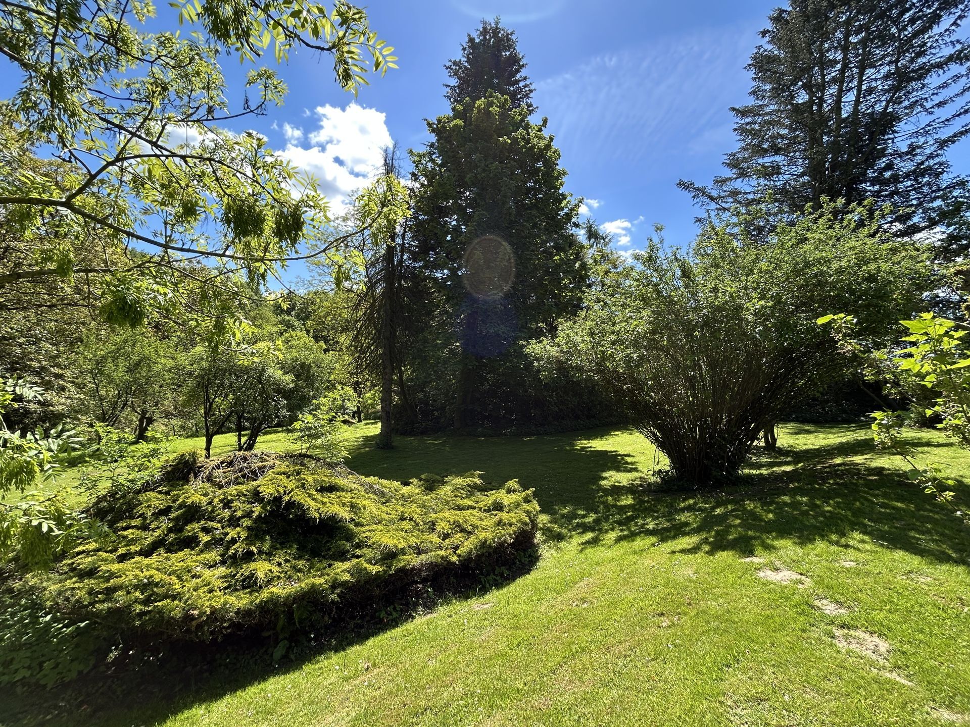 Immobilienangebot - Barntrup - Alle - In "himmlischer Ruhe" direkt am Waldrand wohnen!
